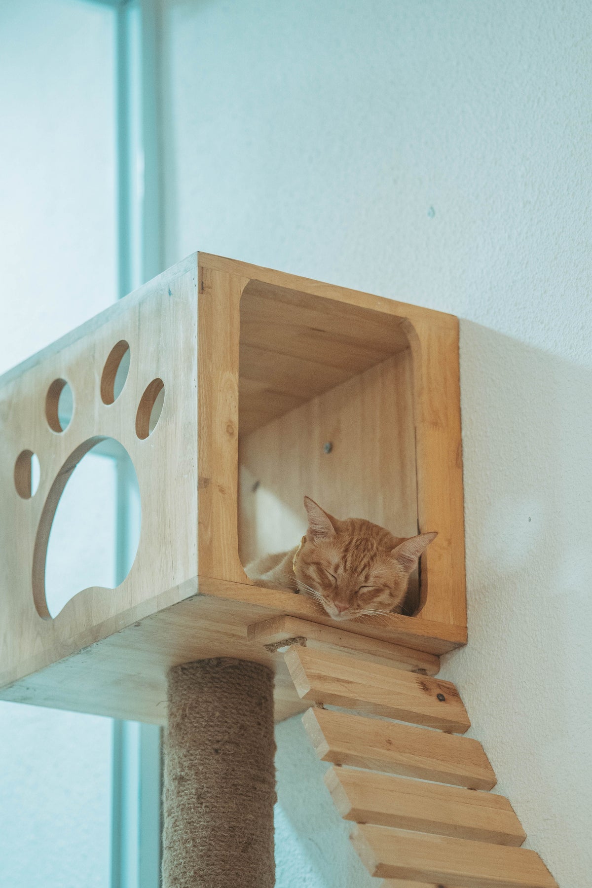 Pet House